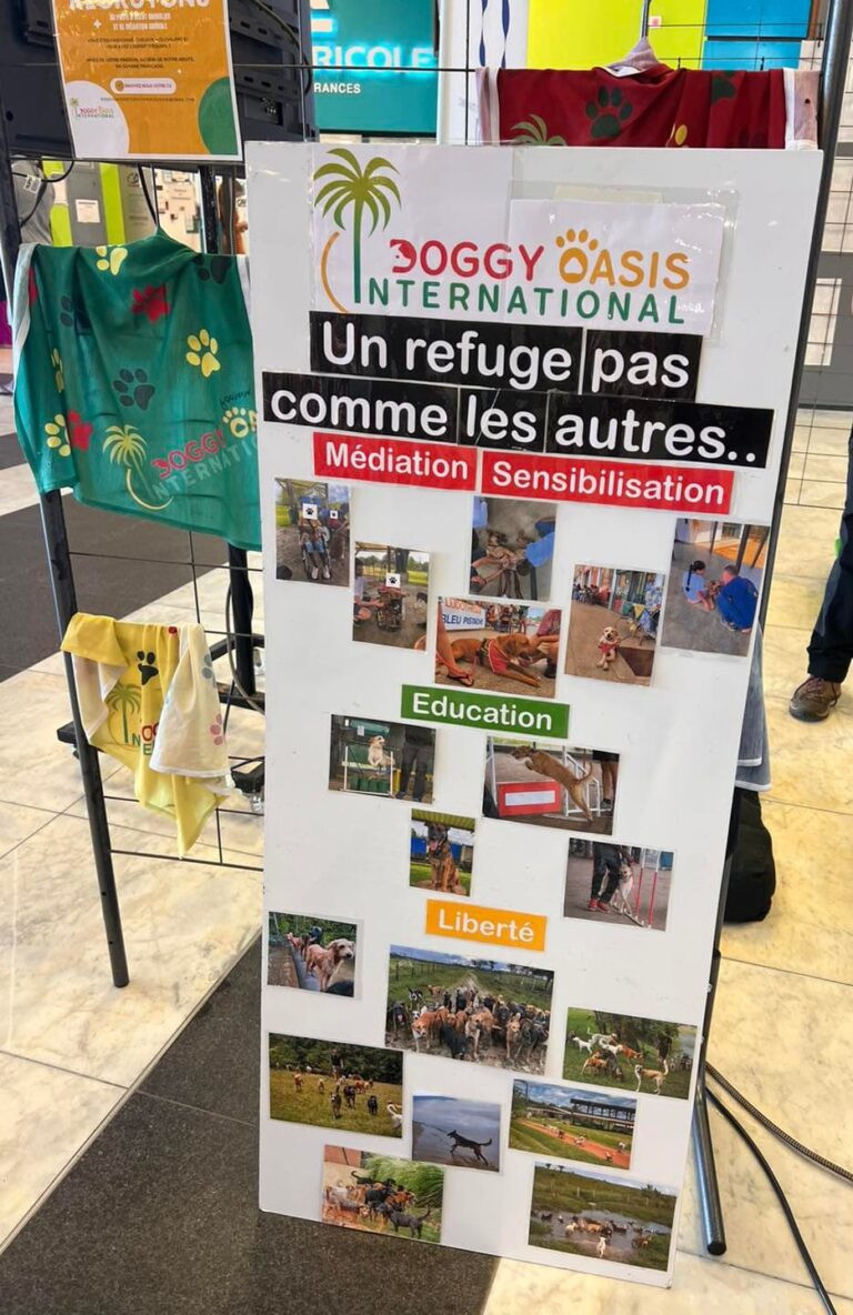 Journée mondiale des animaux, 04 Octobre 2023 – photo 1
