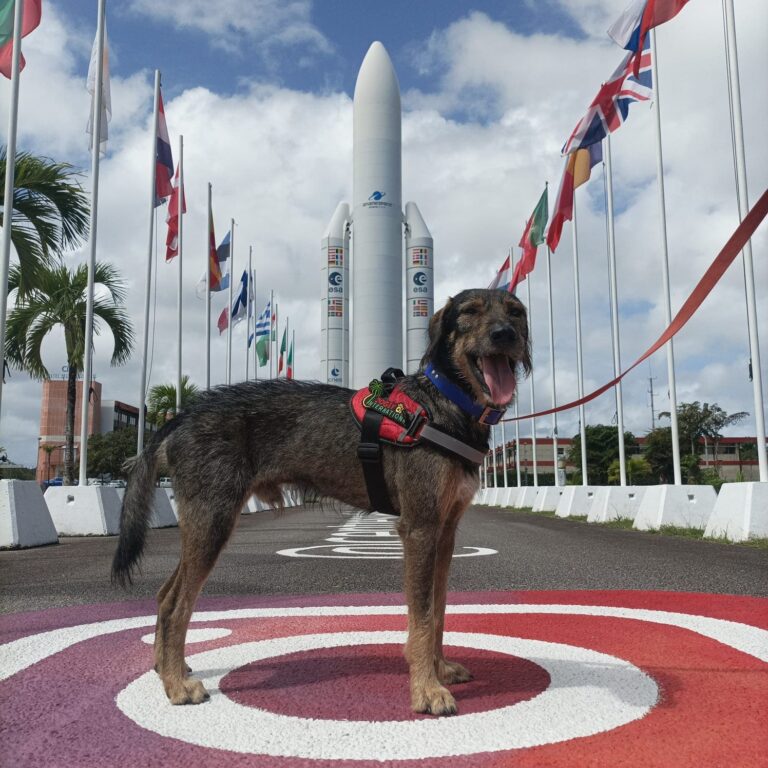 Chien en visite au Centre spatial guyanais