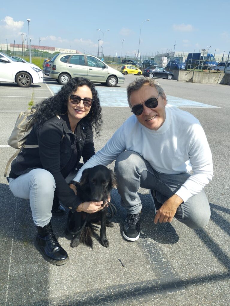Arrivée des chiens à Paris, mai 2024 – photo 1