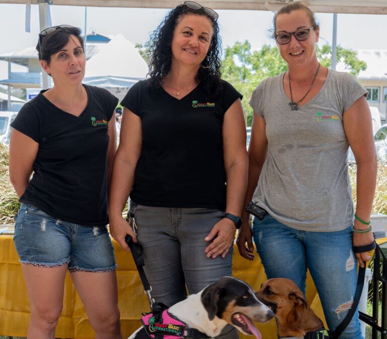 Journée des nouveaux arrivants des forces armées de Guyane - Septembre 2024 – photo 7