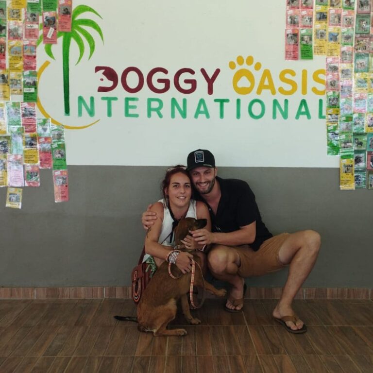 Adoptions du mois, septembre 2024 – photo 3