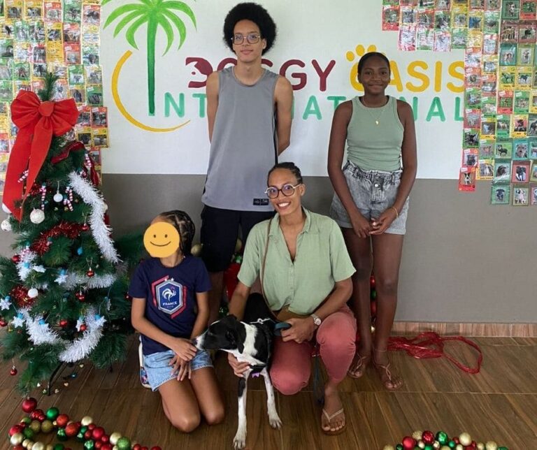 Adoptions du mois - décembre 2024 – photo 7