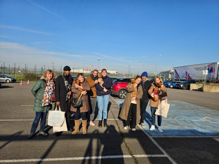 Adoptions du mois - novembre 2024 – photo 3