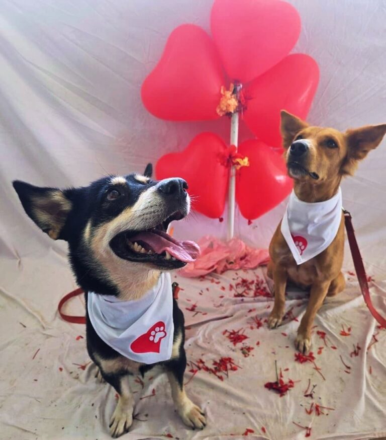Nos duos Saint Valentin - Février 2025 – photo 2