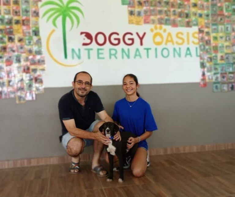 Adoptions du mois - Février 2025 – photo 7
