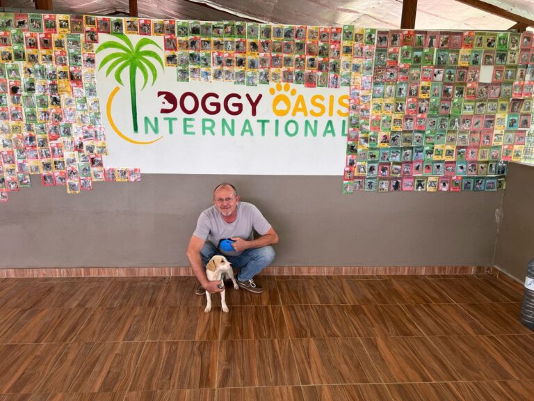 Adoptions du mois - Mars 2025 – photo 2