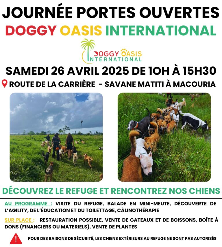 Journée portes ouvertes - 26 avril 2025 – photo 1