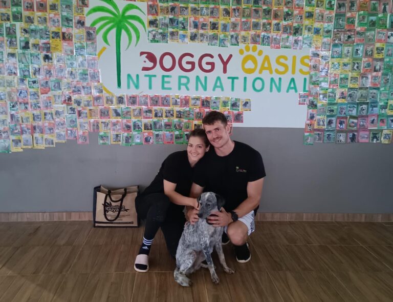 Adoptions du mois - mai 2025 – photo 4