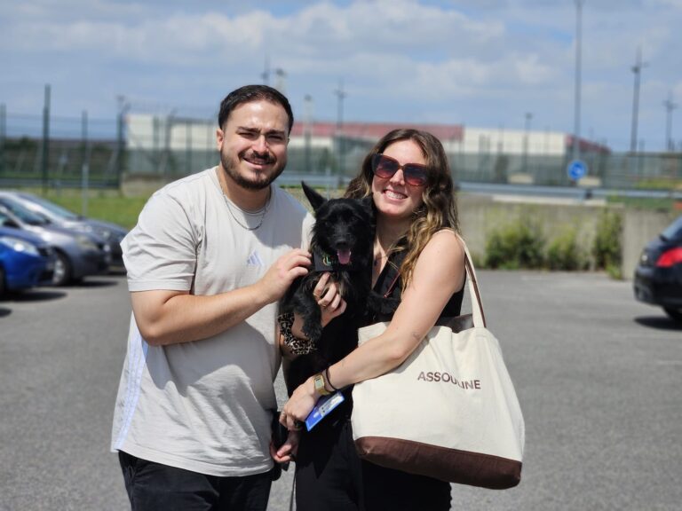Adoptions du mois - juillet 2025 – photo 8