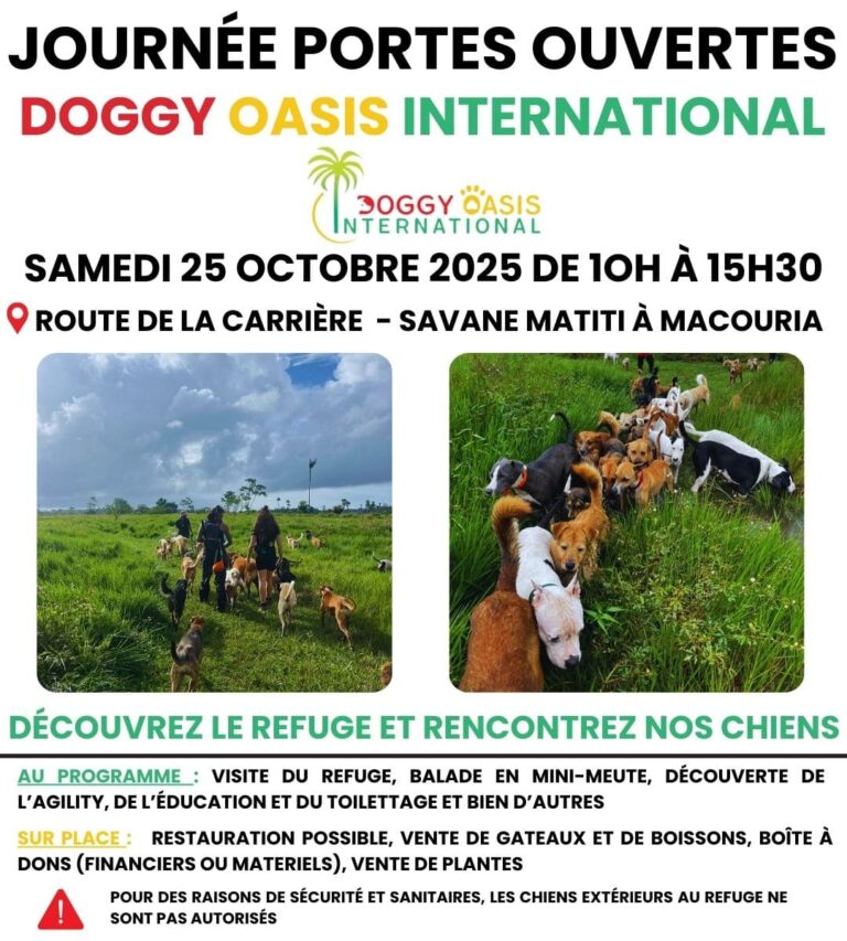 Journée portes ouvertes - Samedi 25 octobre – photo 1