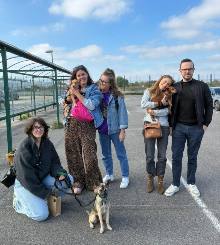 Adoptions du mois - octobre 2025 – photo 3