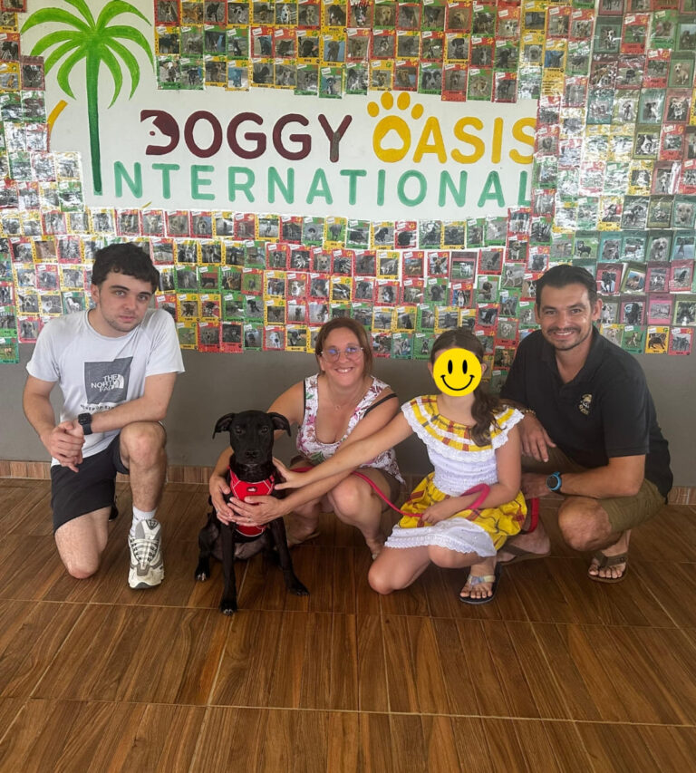 Adoptions du mois - Novembre 2025 – photo 6