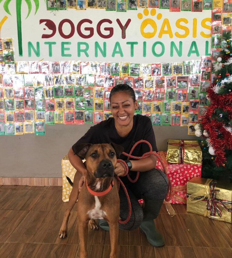 Adoptions du mois - Décembre 2025 – photo 6