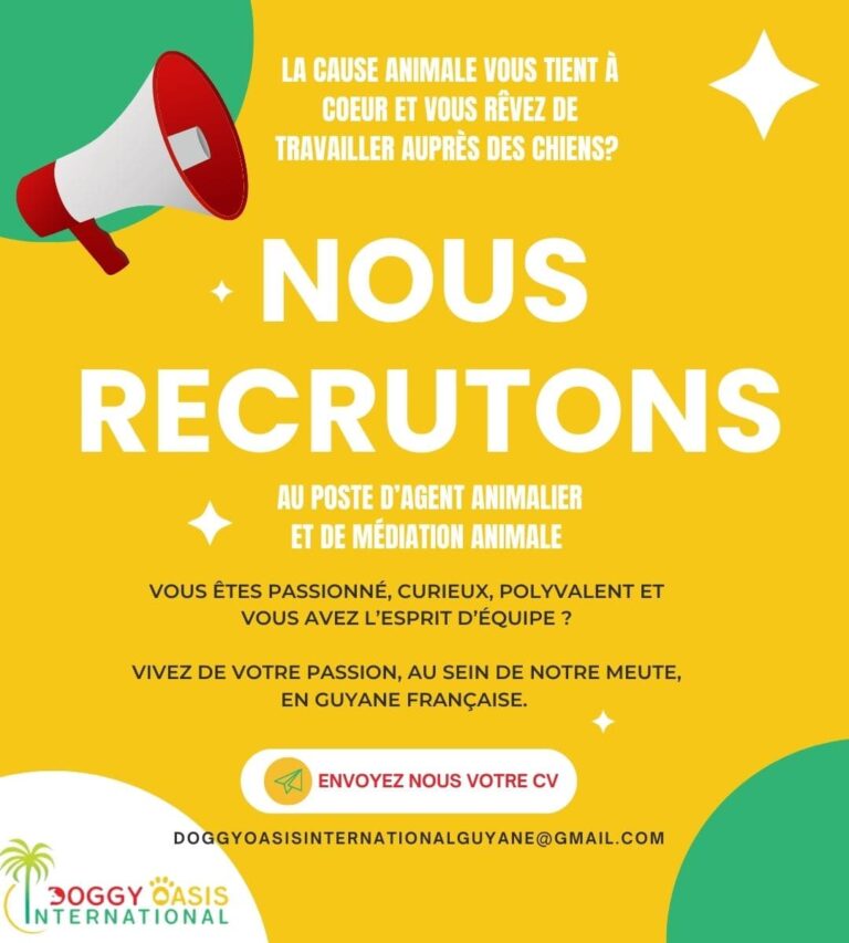 Nous recrutons ! – photo 1