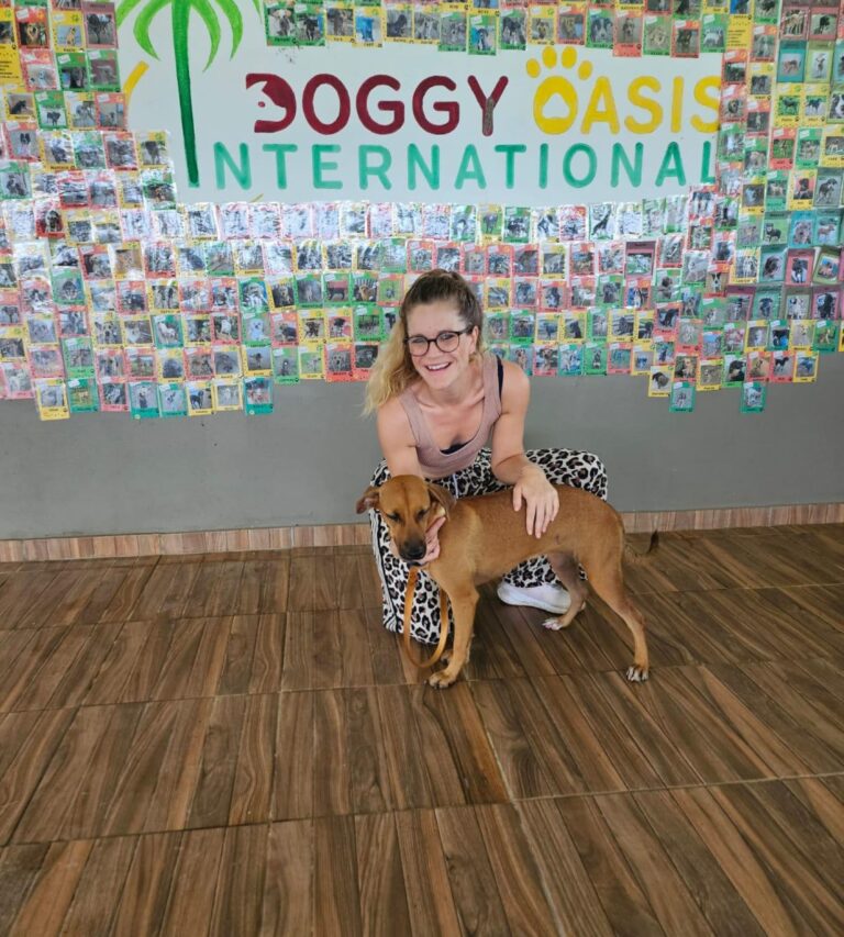 Adoptions du mois - février 2026 – photo 3