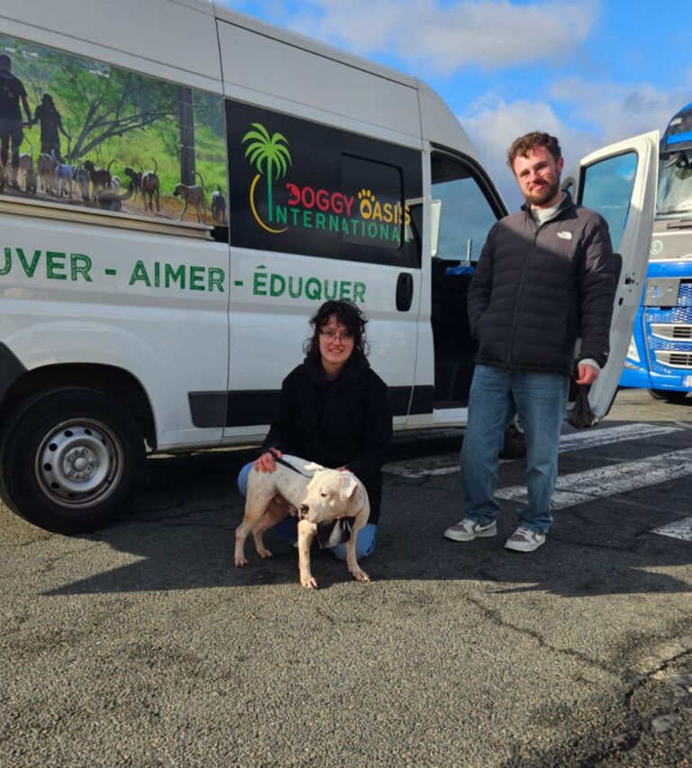 Adoptions du mois - janvier 2026 – photo 5