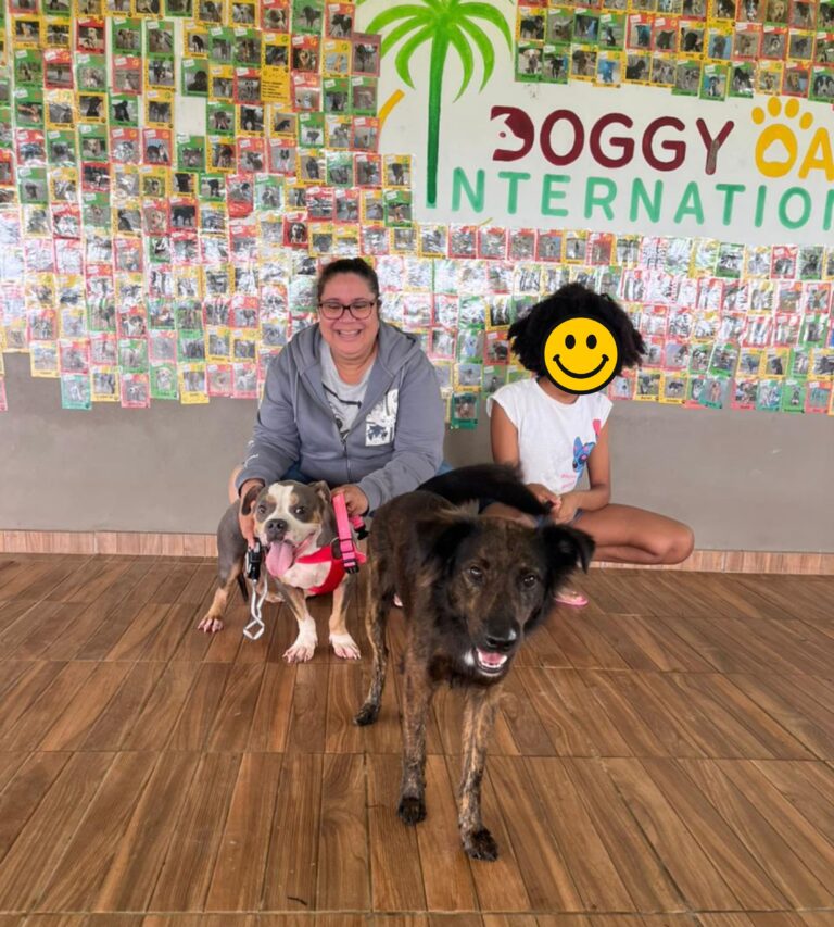 Adoptions du mois - mars 2026 – photo 5
