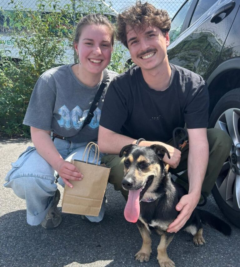 Adoptions du mois - Mai 2026 – photo 2