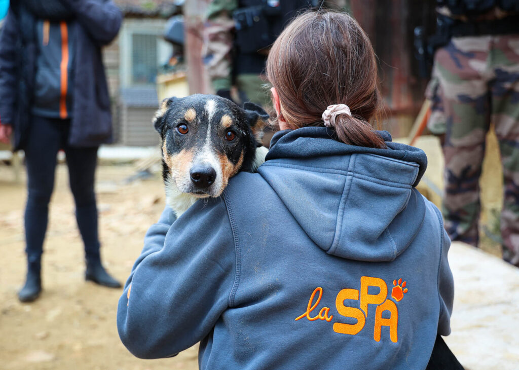 Bénévole de la SPA portant un chien